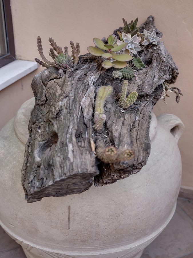 Hotel Palagi Pietrasanta Zewnętrze zdjęcie